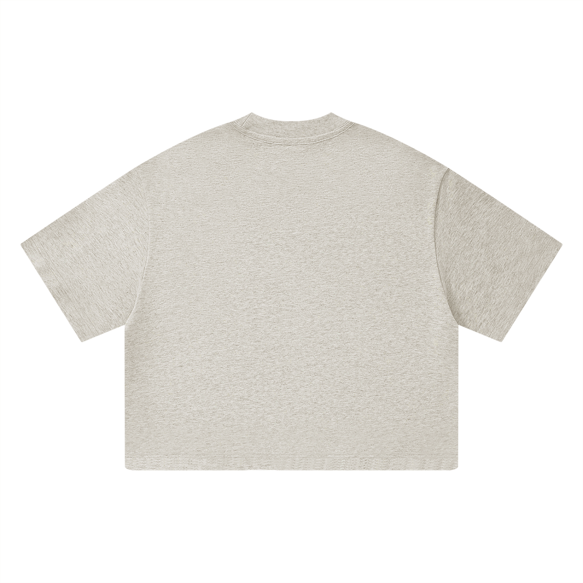 SAV Unisex Heavyweight Boxy T-Shirt
